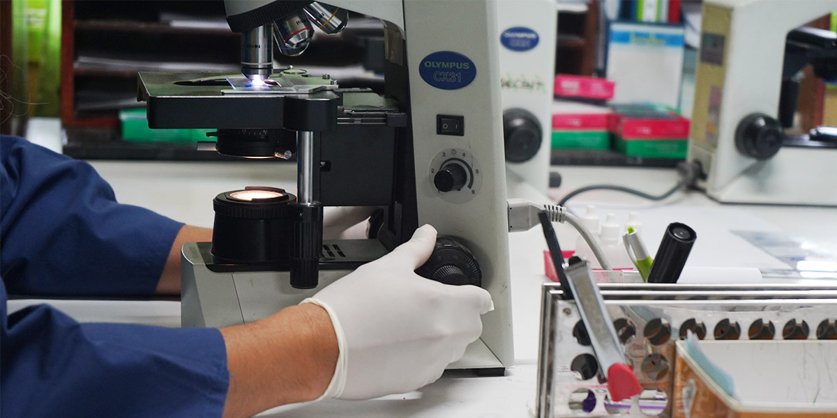 pt-freeport-rencana-rapid-test-massal-karyawannya